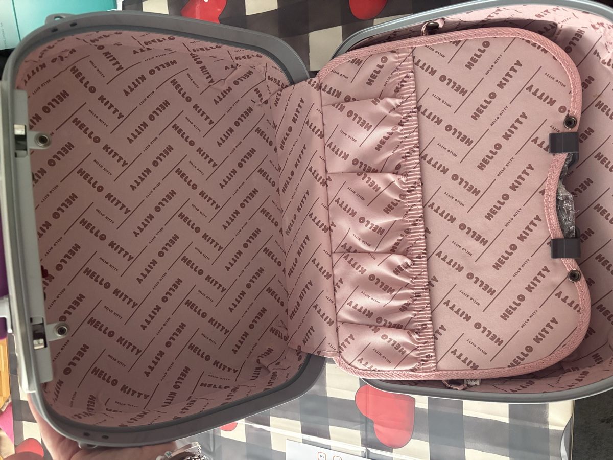 Hello Kitty Custodie per cosmetici: Beauty Case Hello Kitty – Usato da Novazzano venduto da jen_hx8j 1