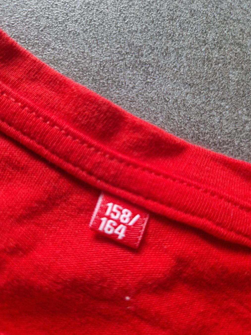 T-shirt: T-Shirt Schweizerkreuz Gr.158/164 – Usato da Mezzovico venduto da maemy 2