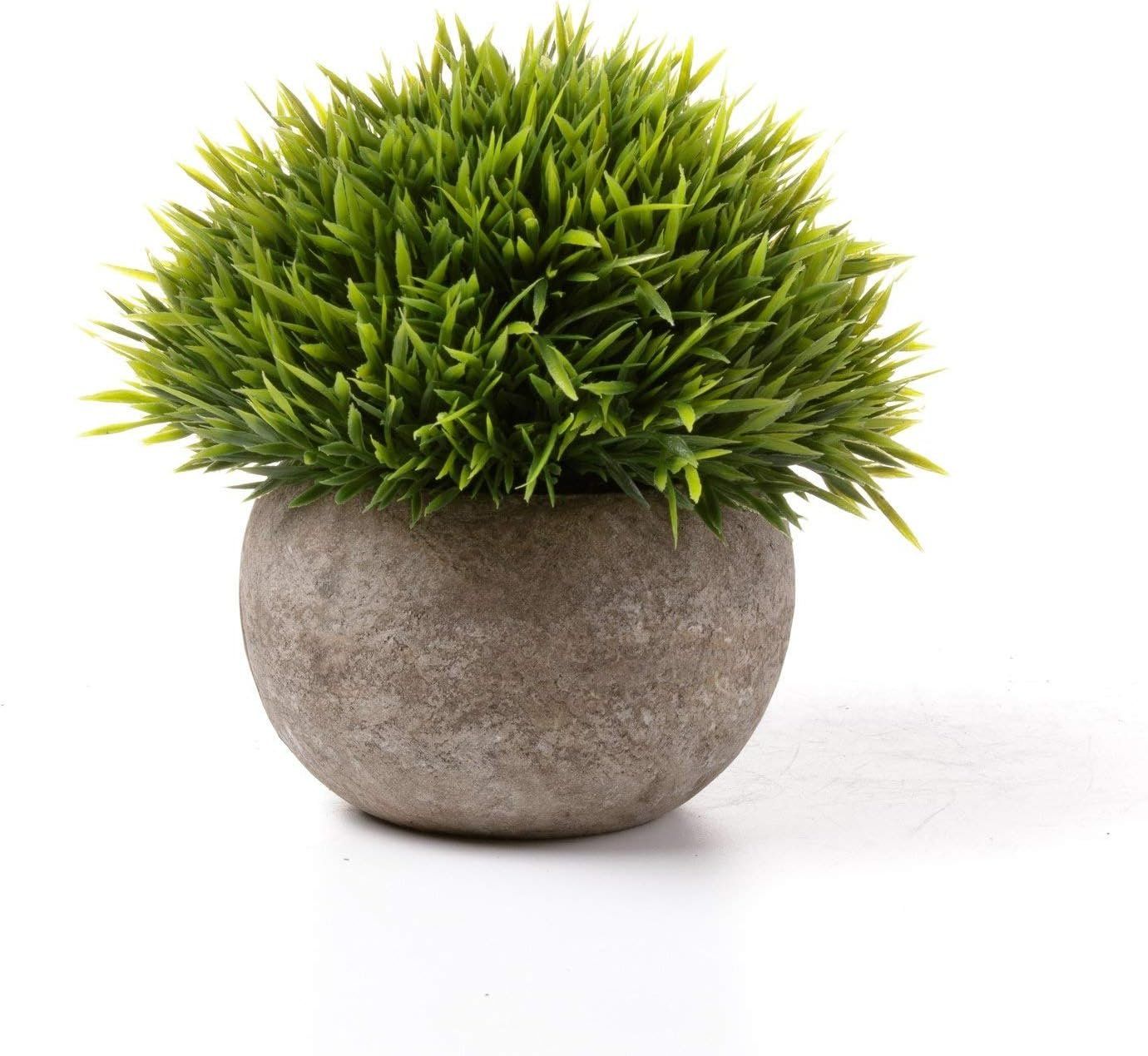 Piante & sementi: Kunstpflanze Gras 6er set – Nuovo e nell'imballaggio originale da Nuglar venduto da SaleRitter 4