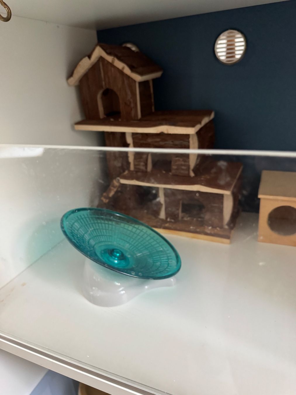 Gabbie, trasporto & Sicurezza: Hamsterkäfig IKEA-Hack Kallax – Usato da Winterthur venduto da Reto7500 3