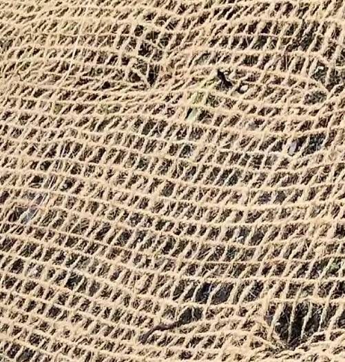 Cartoline postali: Fleurier en jute – Usato da Morges venduto da pie_nbl7