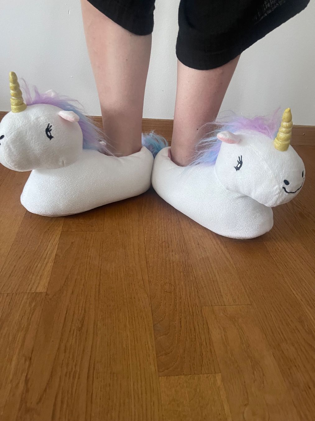 Chaussures hommes: Einhorn Plüschfinken Grösse 38 – D'occasion à Dietikon par Freestyla 4