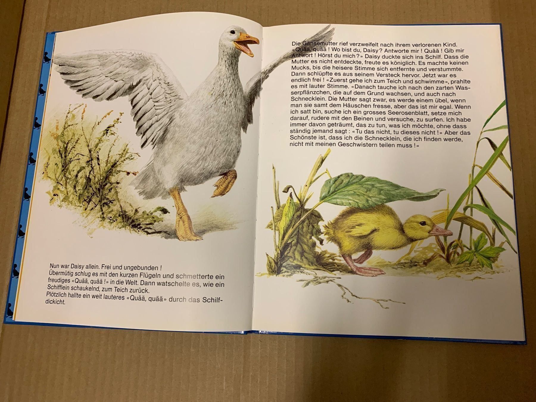 Bücher: Daisy das hochnäsige Gänslein (Buch) – Gebraucht aus Eschlikon TG von RamonaSt 3