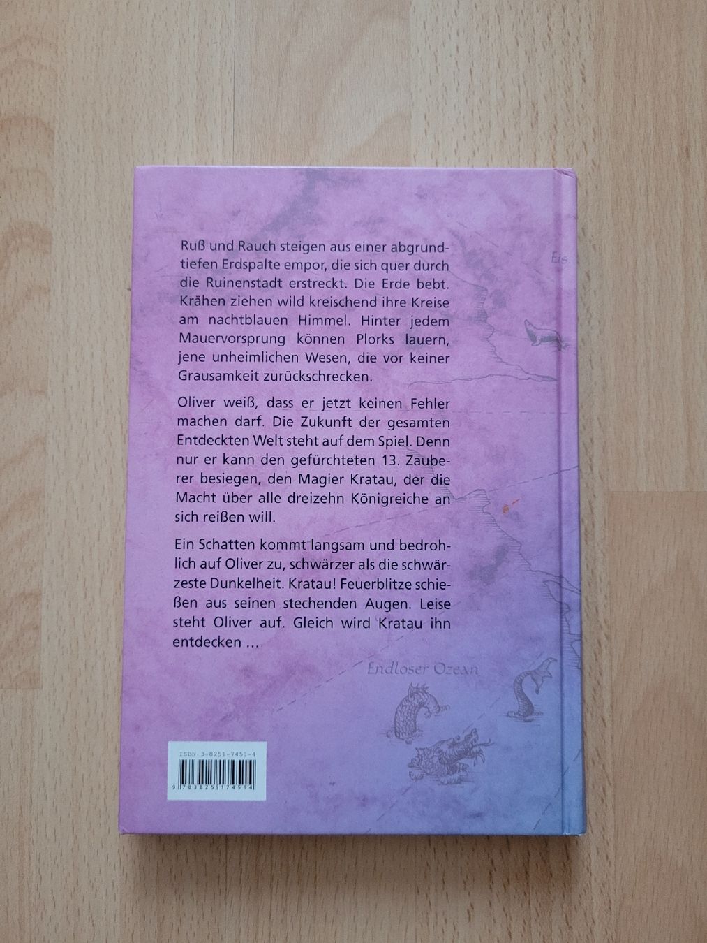 Libri: der 13. Zauberer – Usato da Perlen venduto da Safari_23 1