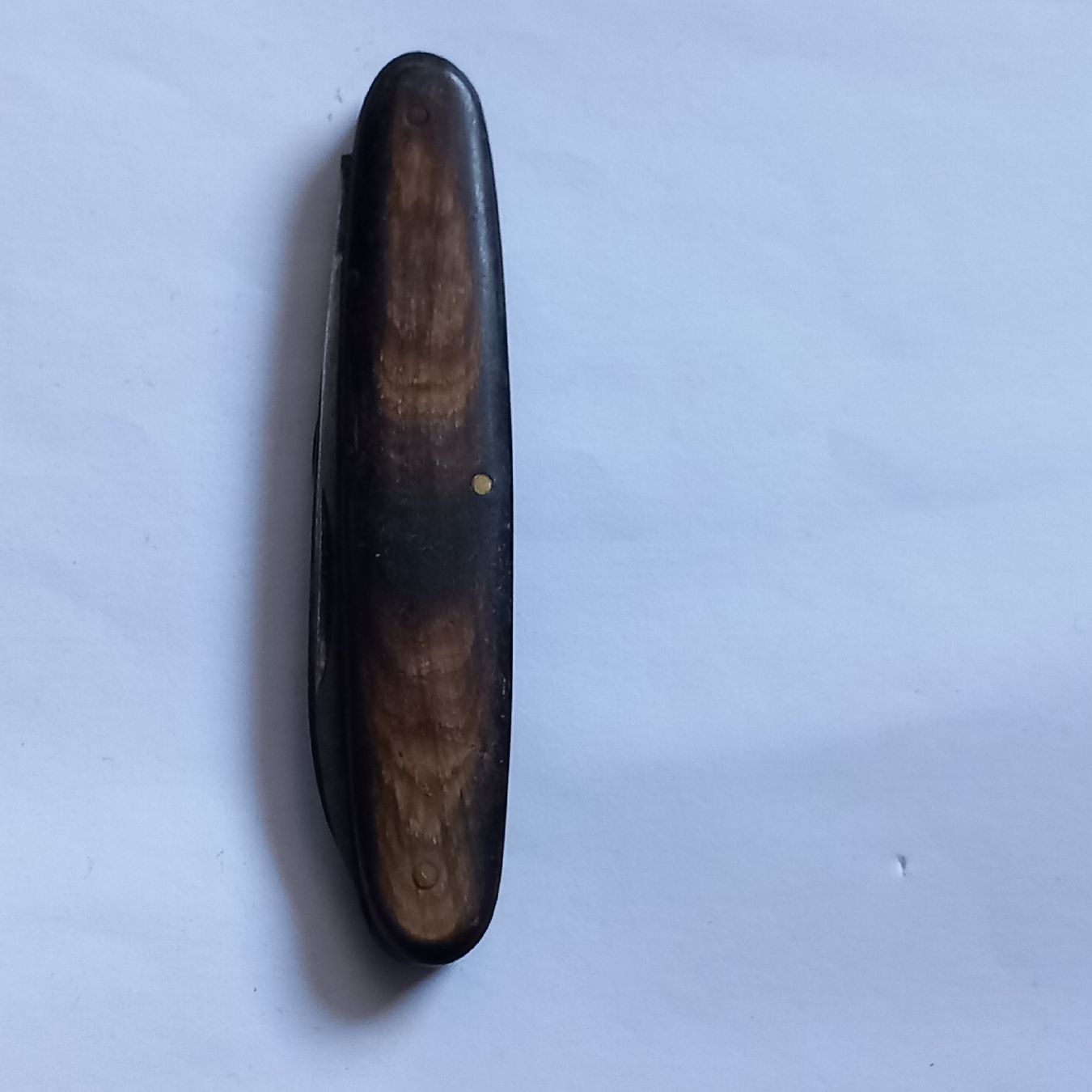 Coltelli tascabile: Altes Sackmesser Hornschale Phanter  – Usato da Rebstein venduto da Zauberwelt14