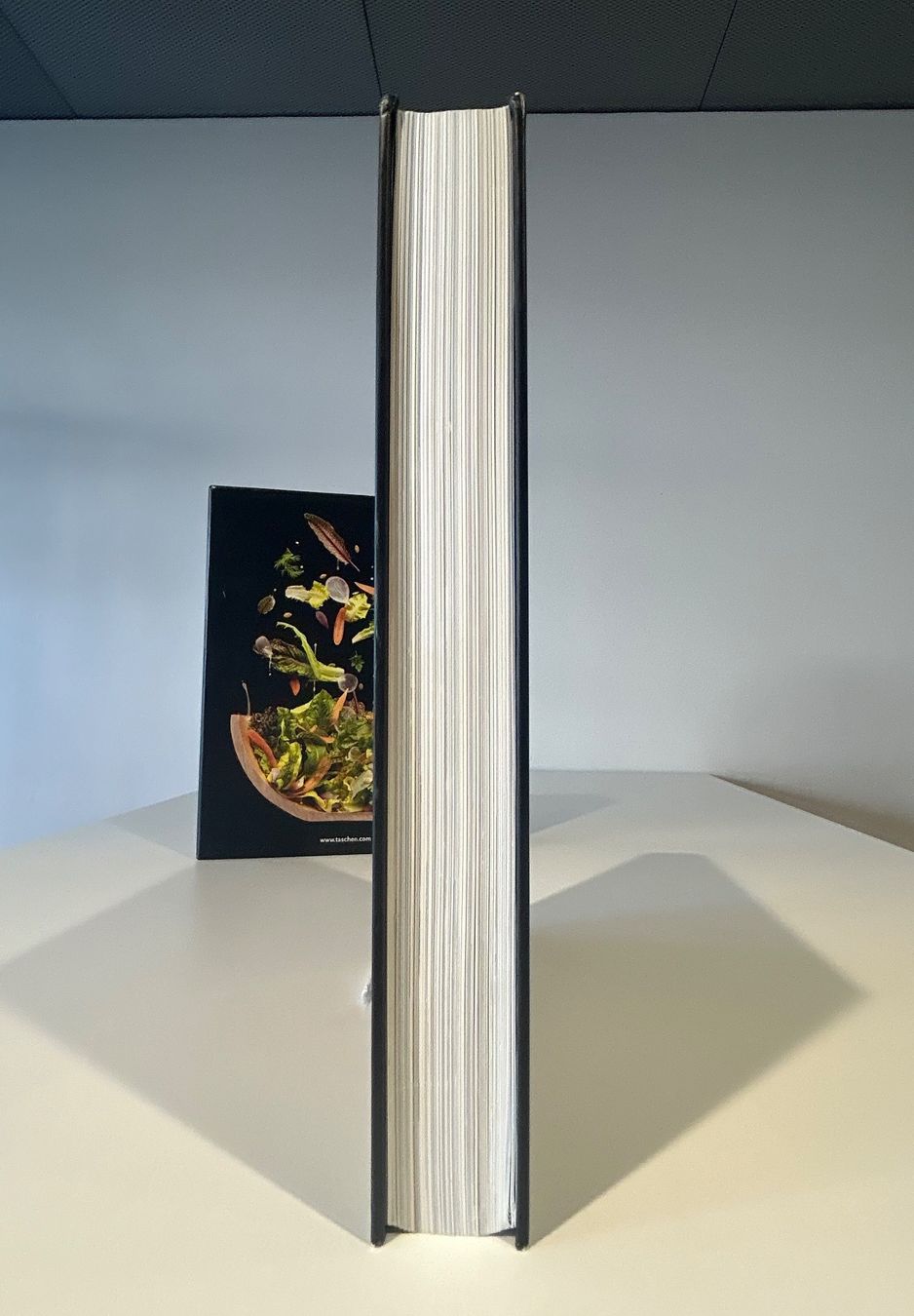 Livres: Modernist Cuisine at home – D'occasion à Basel par kui_86g6 5