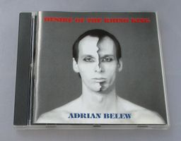 ADRIAN BELEW - Desire Of The Rhino King