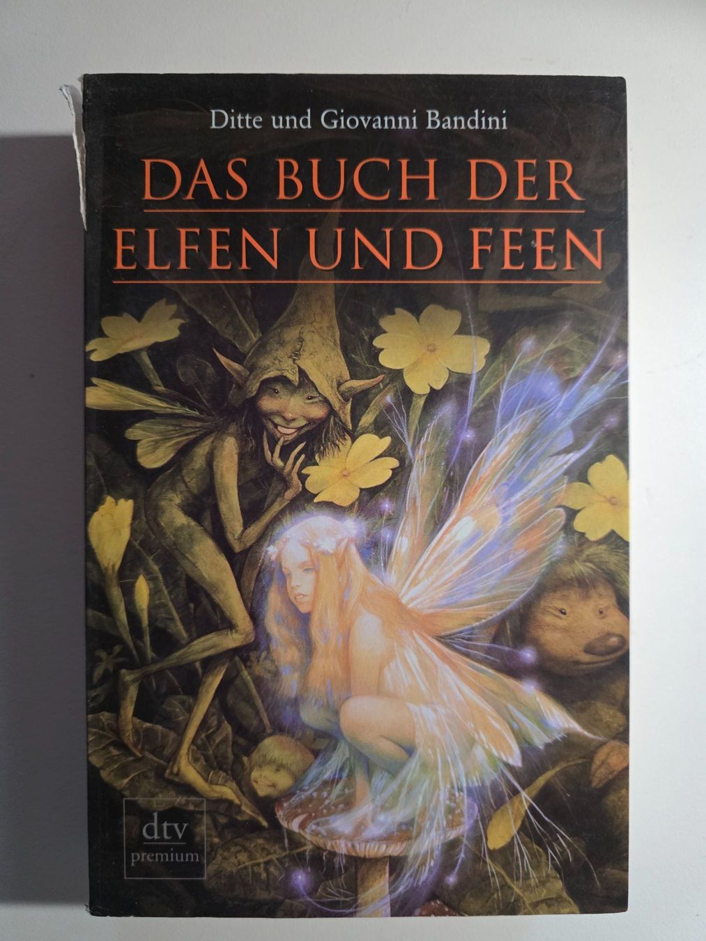 Libri: Das Buch der Elfen und Feen - Ditte Giovanni Bandini - 2004 – Usato da Walterswil BE venduto da Lonitti