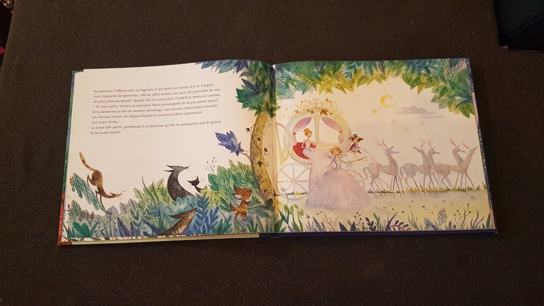 Libri: CENDRILLON, conte illustré – Usato da Fribourg venduto da Carax 2