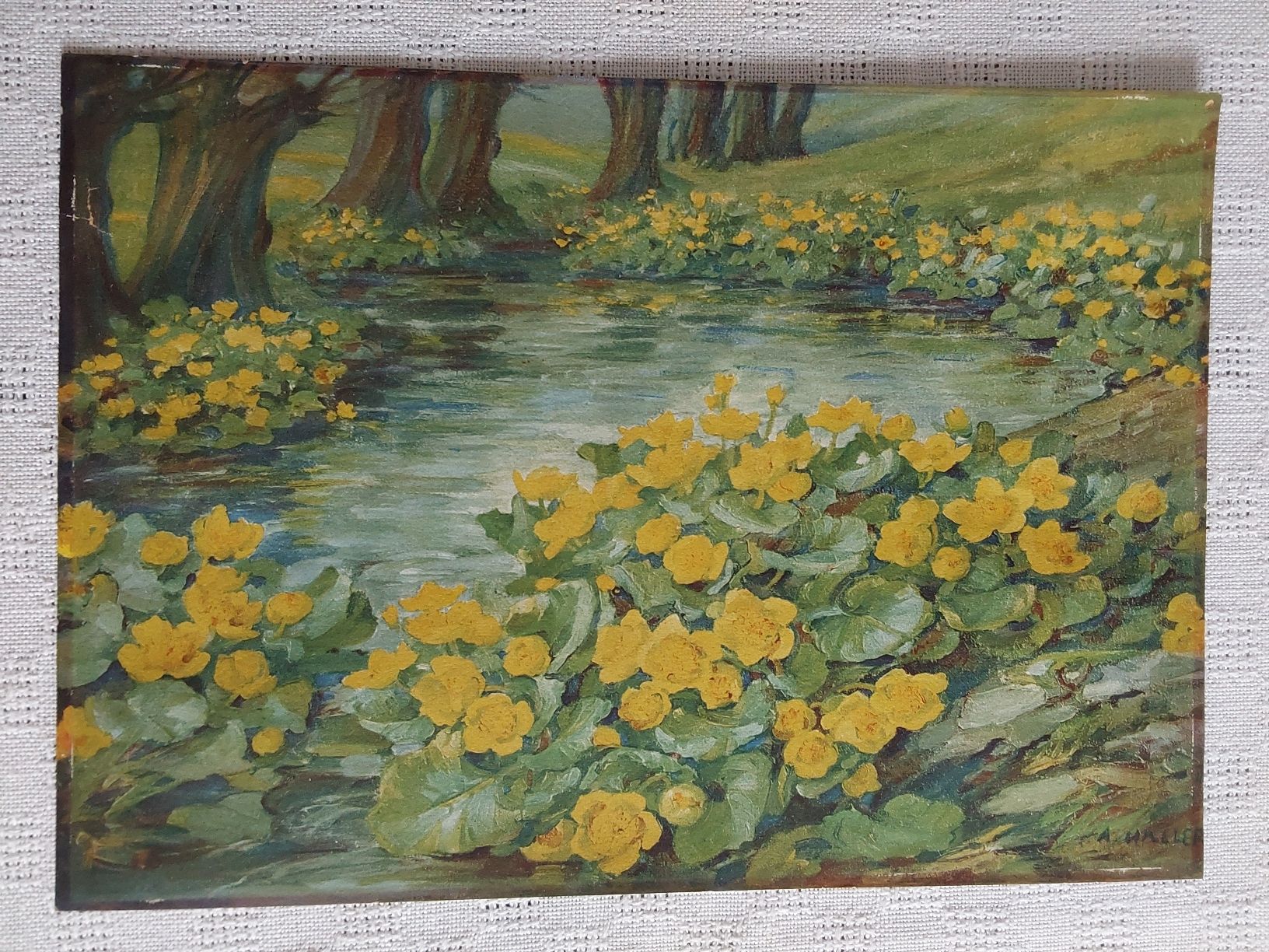 Foto & Immagini: Anna Haller Grafik 21x30cm. – Usato da Steinach venduto da Chilli1957