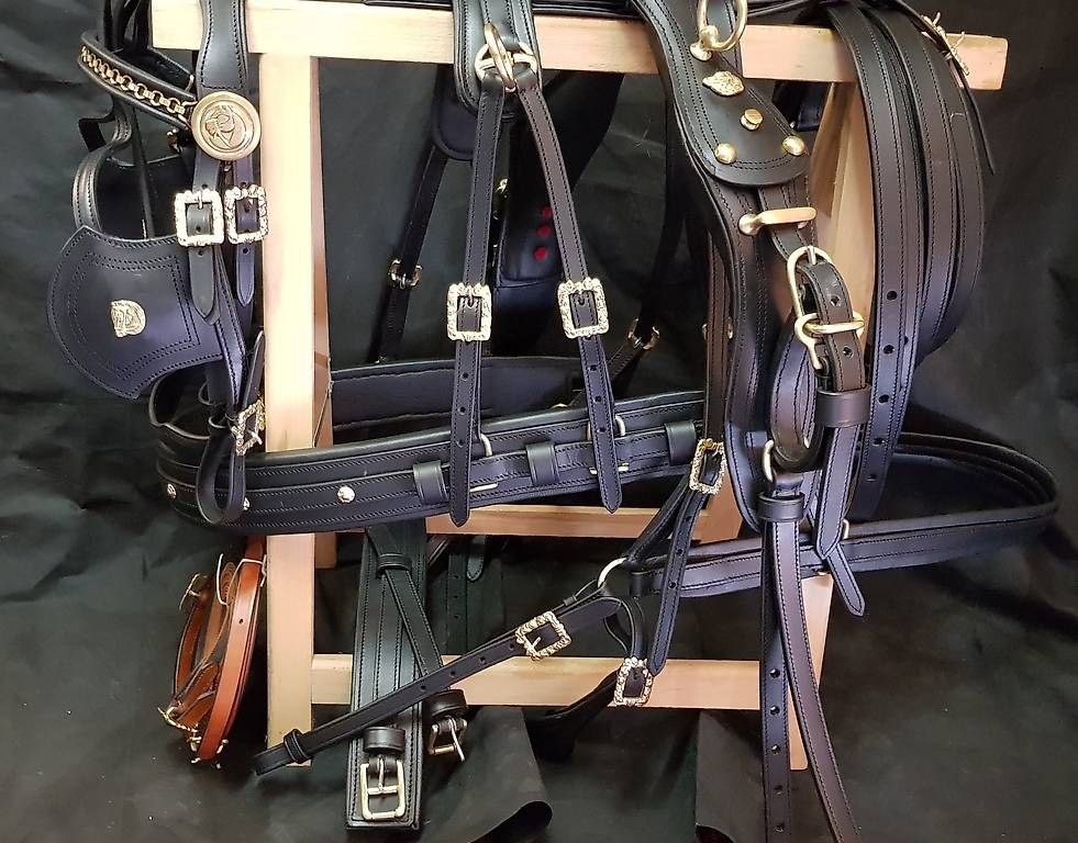 Attrezzatura da arrampicata: Harnais  exclusive pour cheval taille  Cob – Usato da Hinterforst venduto da Elfrasty 1