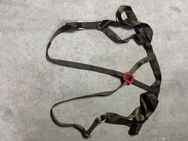 Klettergurt Mammut Gr. L