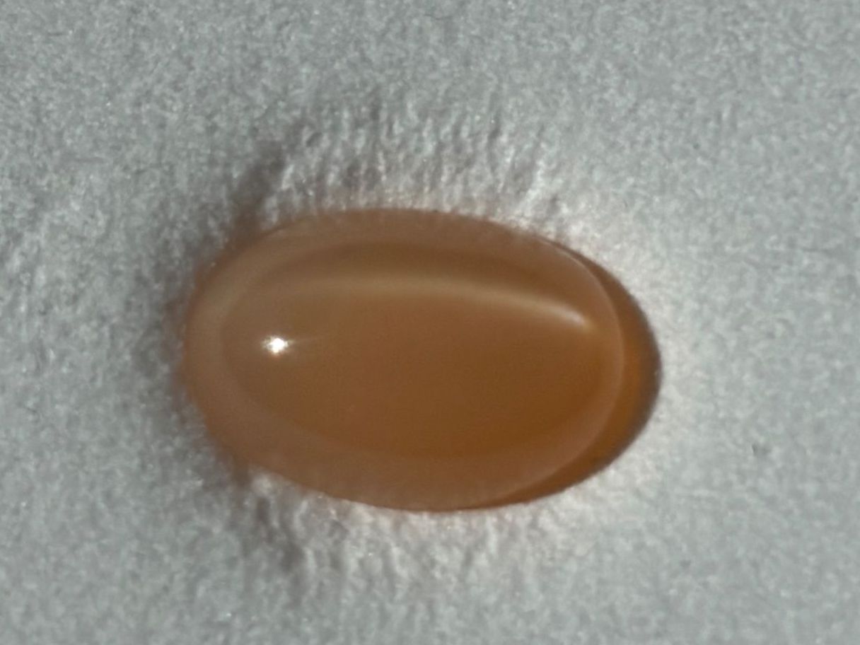 Pietre preziose: Mondstein 6.7 ct. – Usato da Brugg AG venduto da lau_9rvy