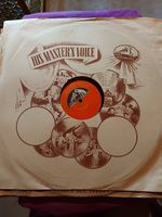 Schellackplatten 16 Stk.
