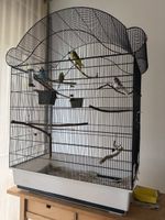 4 x papagai inkv Vogelkäfig mit zubehör
