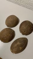 4er Set Kokosnussschalen, ideal zum Basteln