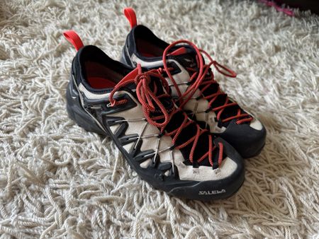Salewa Wildfire Edge GTX Zustiegschuhe Gr 40, neuw. 