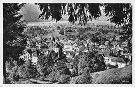 alte Ansichtskarte aus Archiv: DEUTSCHSCHWEIZ - ab 1.--