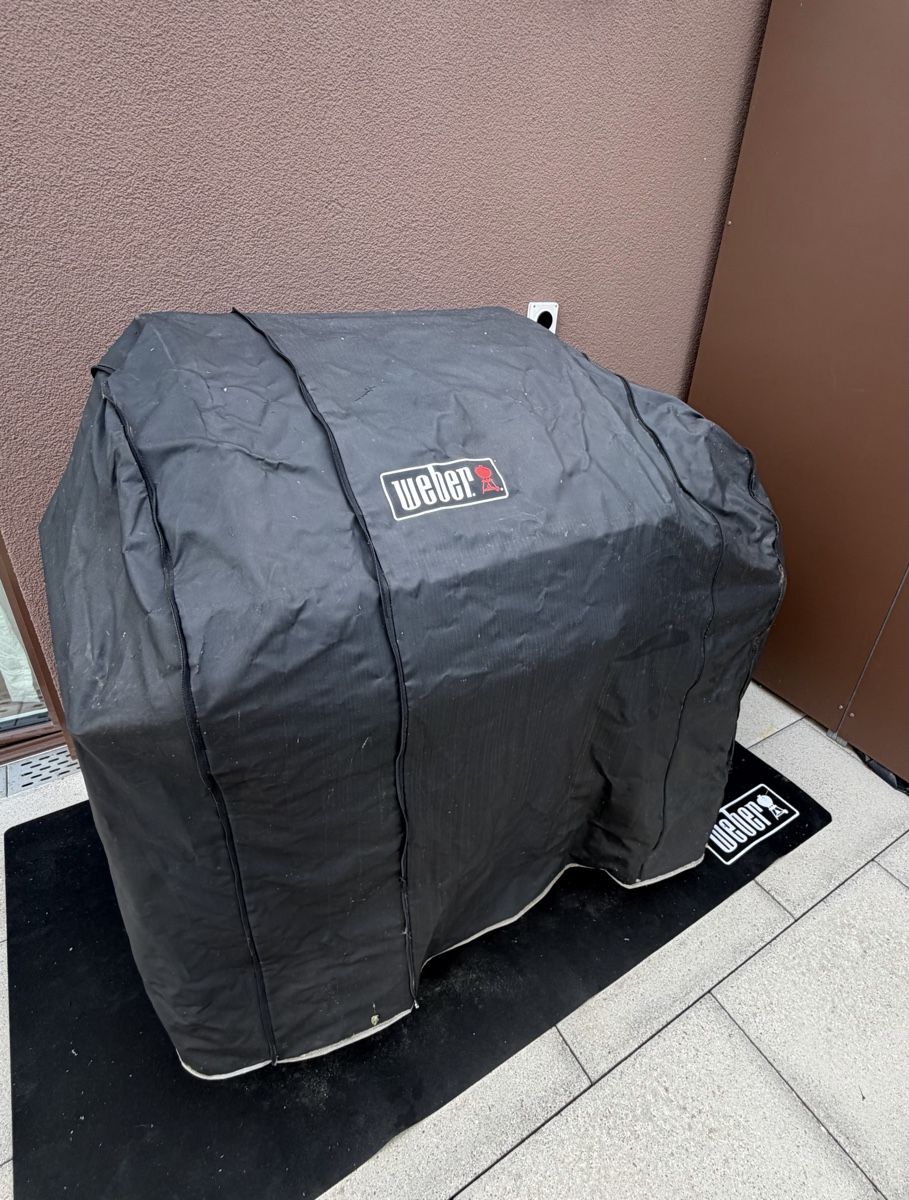 Griglie: BBQ Master L Pro – Usato da Altendorf venduto da asl_c7f8 5