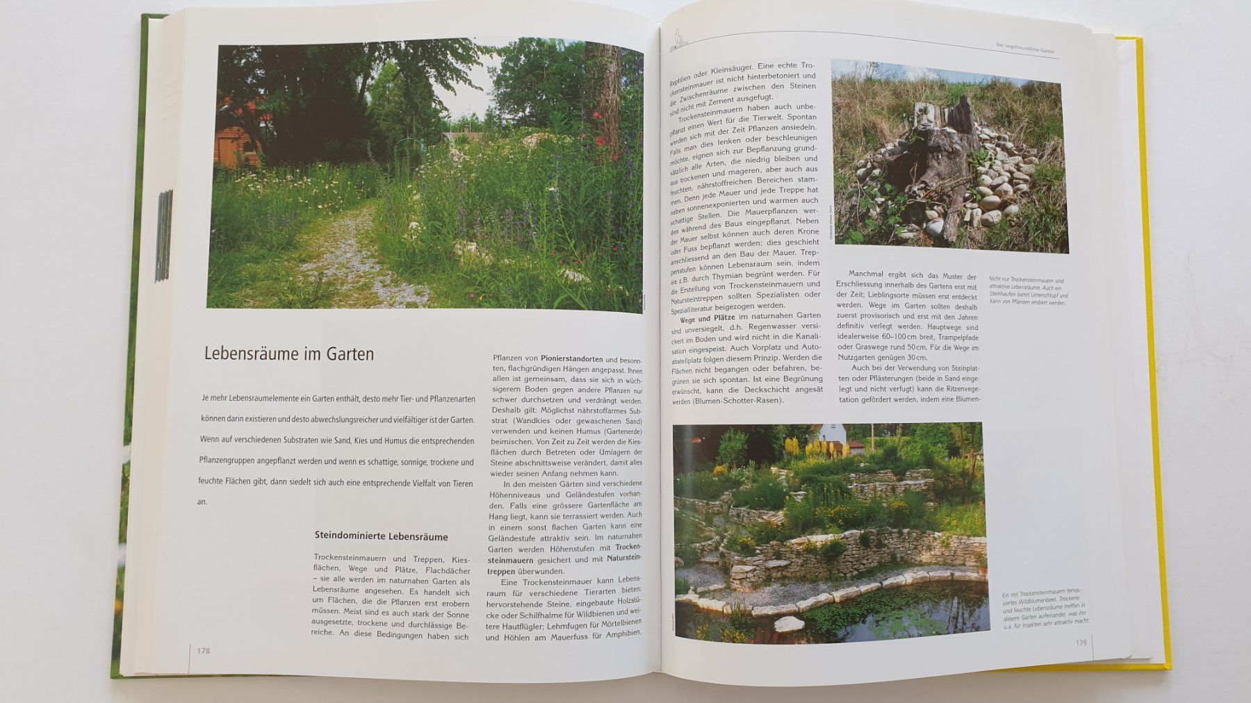 Libri: Vögel - unsere Nachbarn – Usato da Goldach venduto da armando_r 3