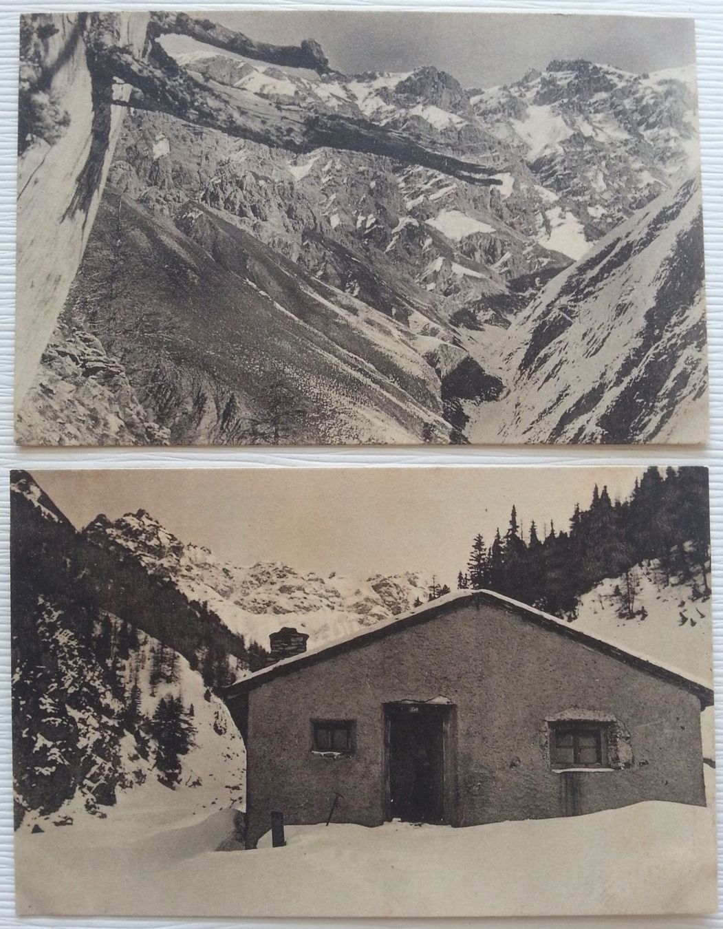 Cartoline postali: AK 5x Schweizerischer Nationalpark, um 1920 – Usato da Oberriet SG venduto da Manick 1
