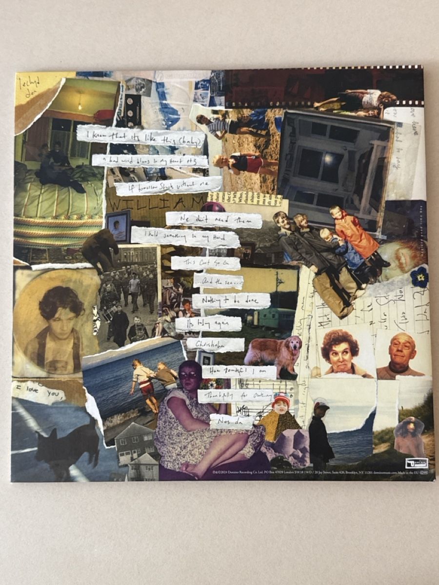 Dischi in vinile: Bill Ryder-Jones Iechyd Da Vinyl – Usato da Zürich venduto da YvesYvesYves 2