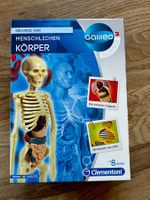Galileo Menschlicher Körper - Modellbausatz Clementoni