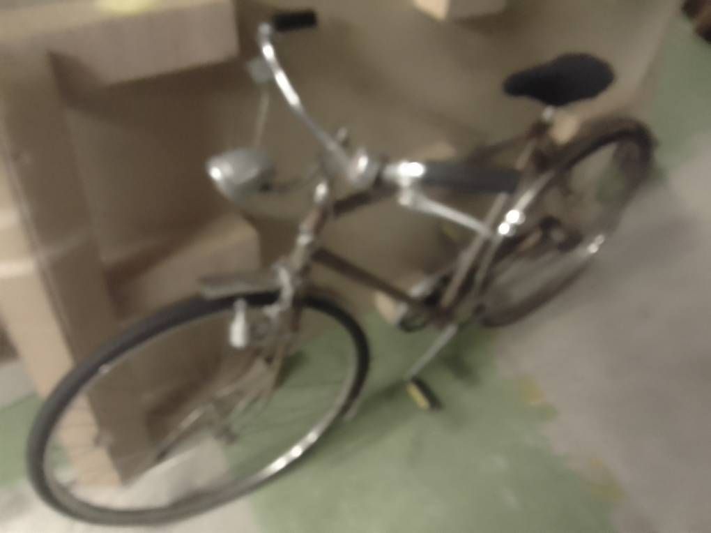 Biciclette: Historisches fahrrad – Usato da Basel venduto da Petergunn 2