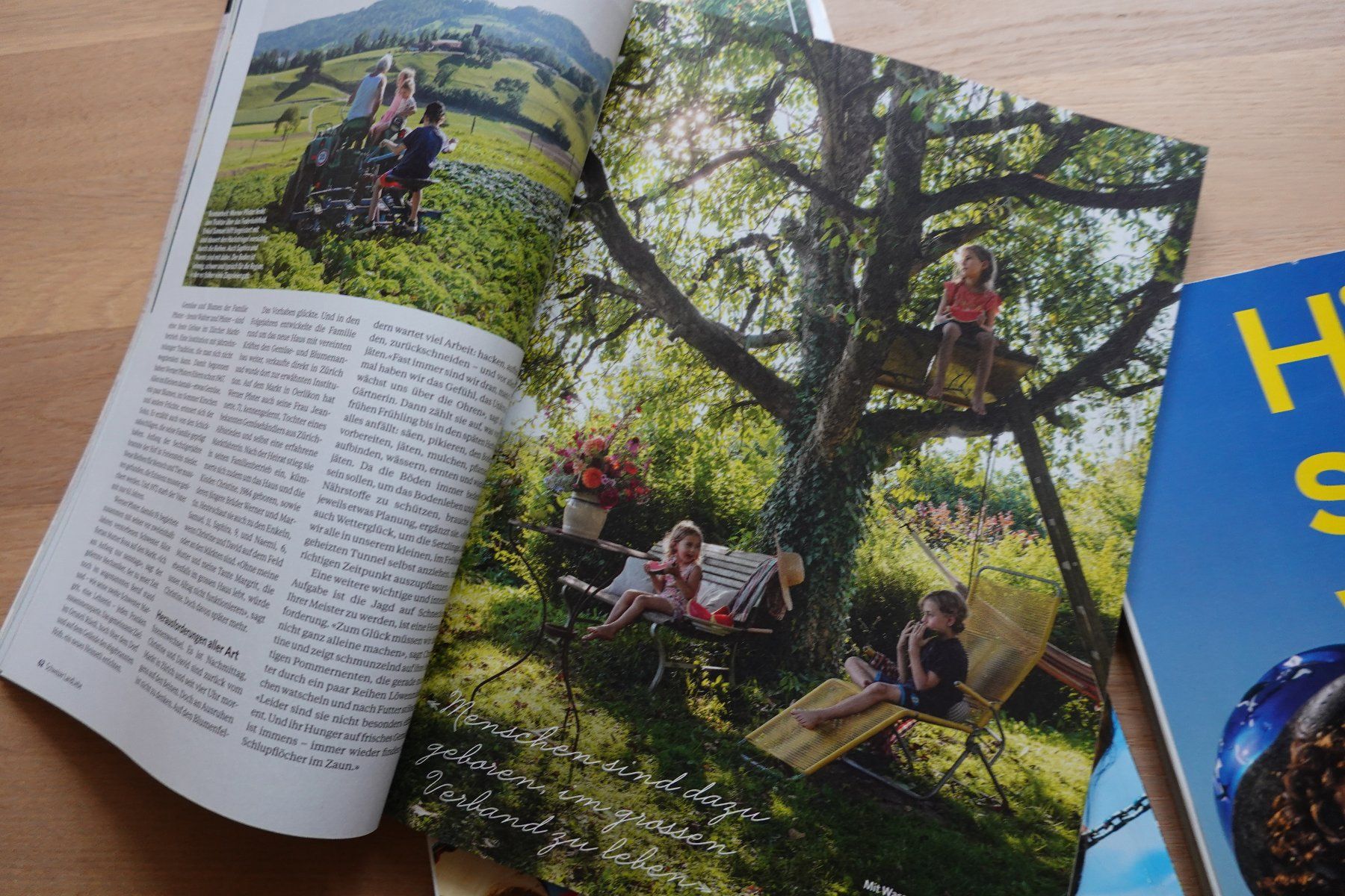 Riviste & Magazine: 6 Schweizer LandLiebe Magazine Schweiz 2025 Garten Kochen... – Usato da Jona venduto da simongarden 5