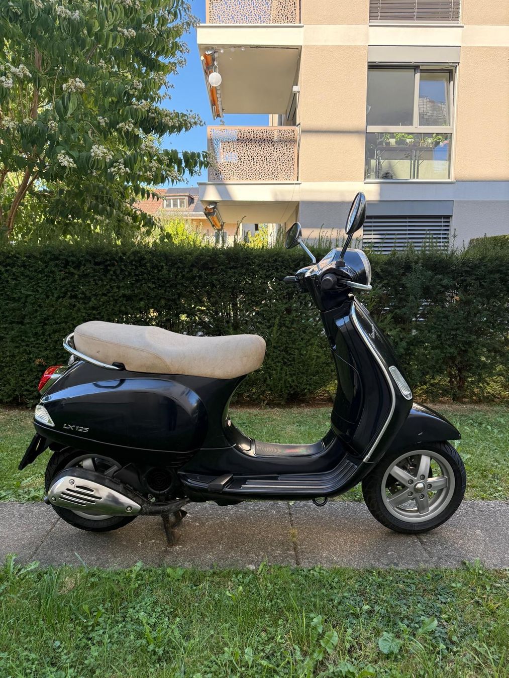 Piaggio Scooter: Piaggio Vespa LX 125 – Usato da Winterthur venduto da Alex-2026 5