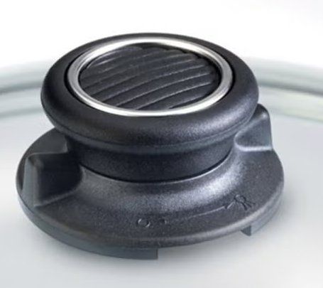 Casseroles: GASTROLUX BIOTAN Gänsebräter mit Deckel – Neuf avec emballage d'origine à Kägiswil par nick333 3