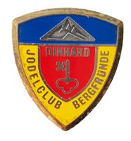 U350 - Pin 8474 Dinhard Jodel-club Bergfründe