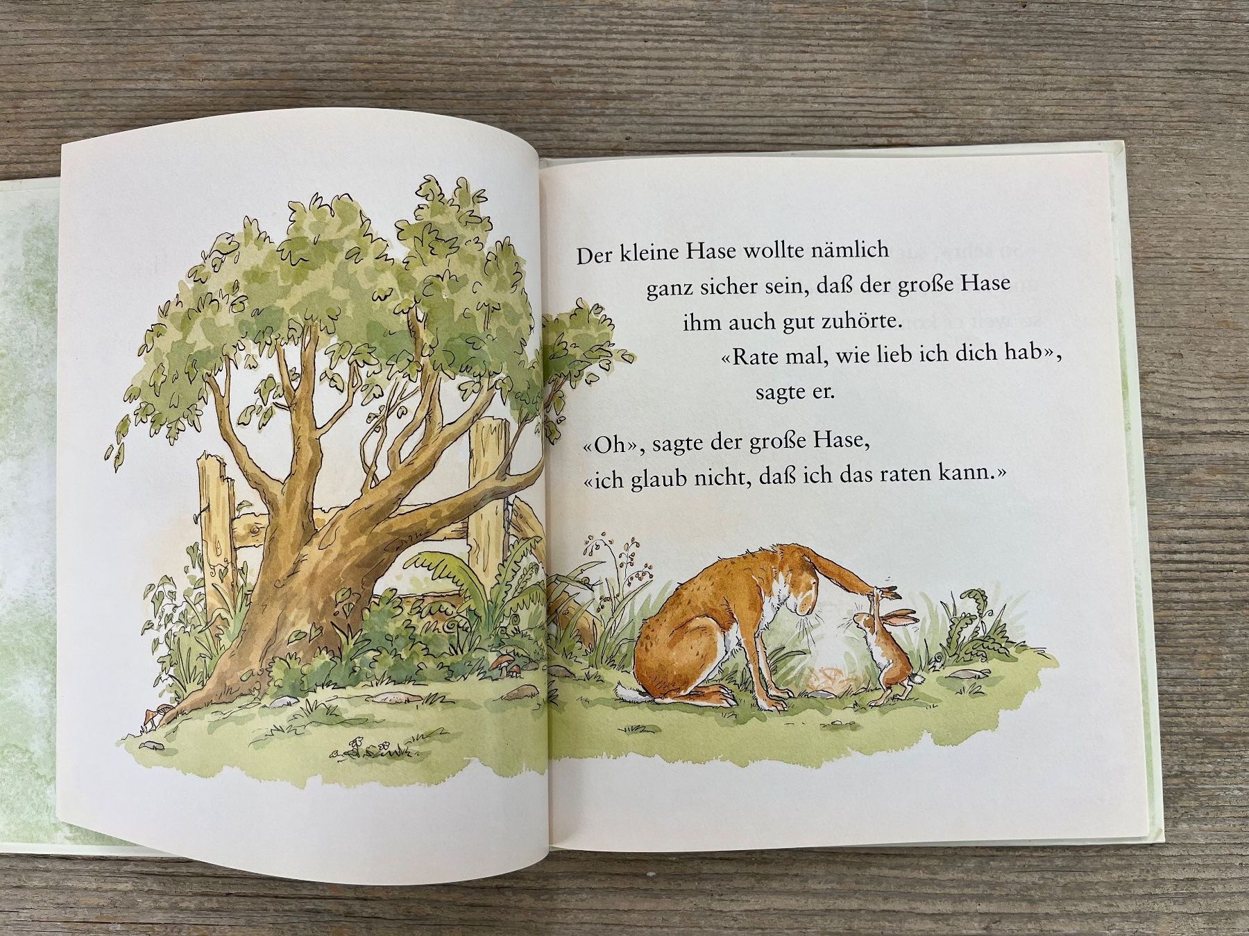 Libri: Weisst du eigentlich, wie lieb ich dich hab? Copyright 1994 – Usato da Pfäffikon ZH venduto da buresi 1