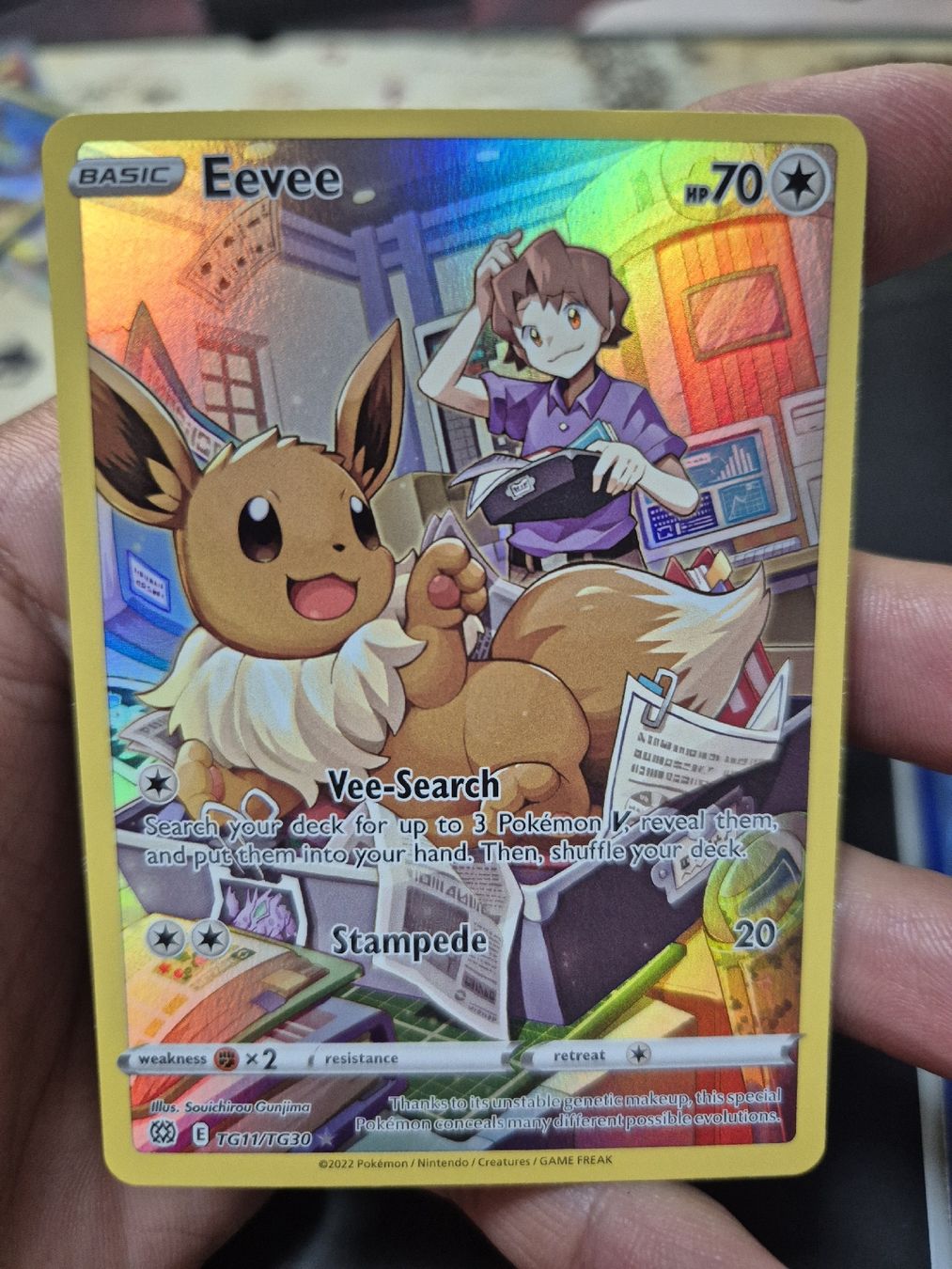 Pokémon Carte collezionabili: Eevee, Vaporeon Jolteon & Flareon Bundle Eng – Nuovo (secondo la descrizione) da Güttingen venduto da trophy117 2