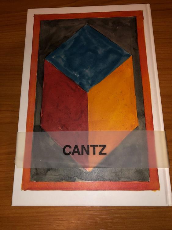 Sol LeWitt - 100 Cubes / Cantz Verlag | Kaufen auf Ricardo