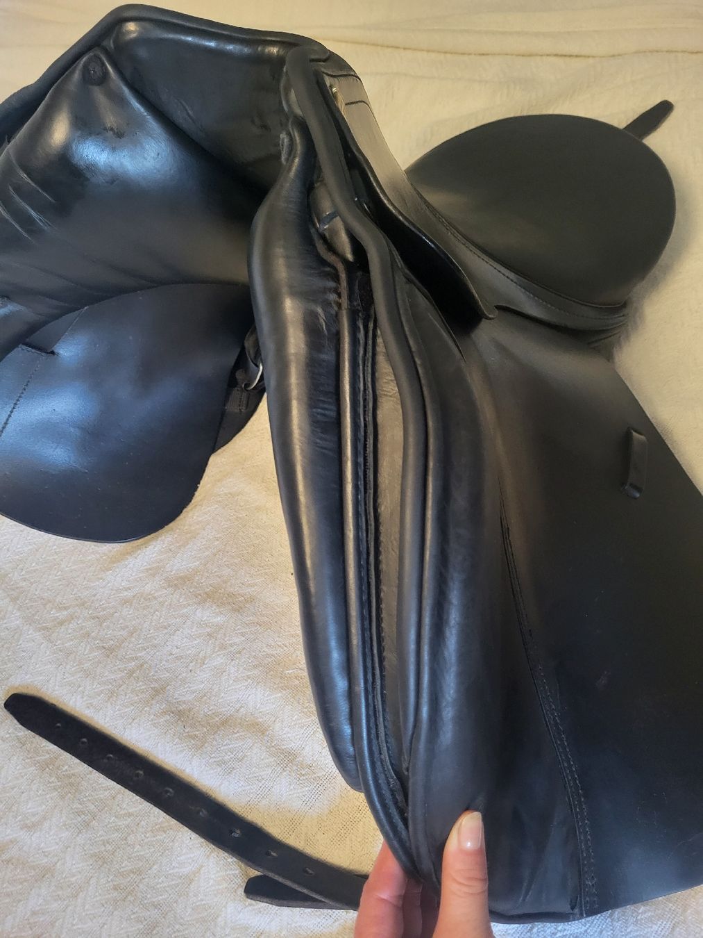 Selle & Accessori: dressursattel kurz 18" massimo – Usato da Zuzwil SG venduto da TSGWEAL1 2