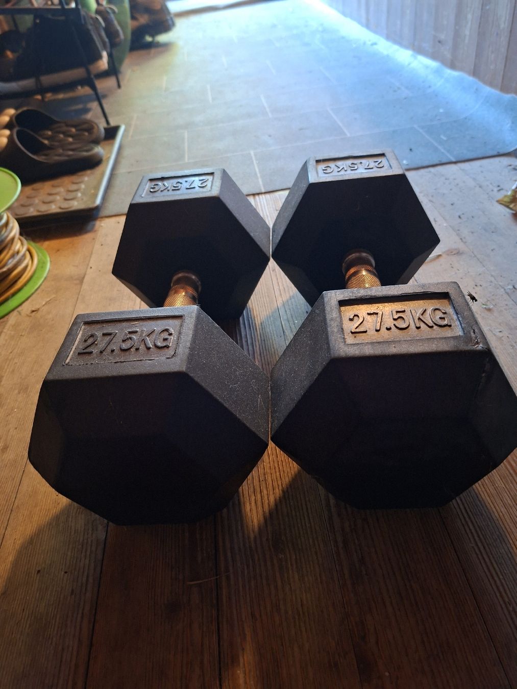 Manubri & Pesi: 2×27,5Kg Hanteln – Usato da Wolfhalden venduto da goovy 1