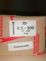 Nägel / Sparrennägel 8.5x300 Feuerverzinkt