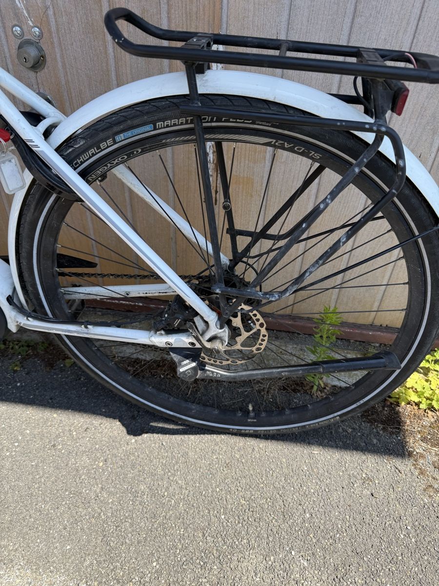 Stevens Biciclette: Stevens E-Triton E-Bike – Usato da Oberentfelden venduto da lam_vj88 2
