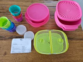 2x Tupperware Pink NEU 2 L und Beerenbehälter & Pana Cotta
