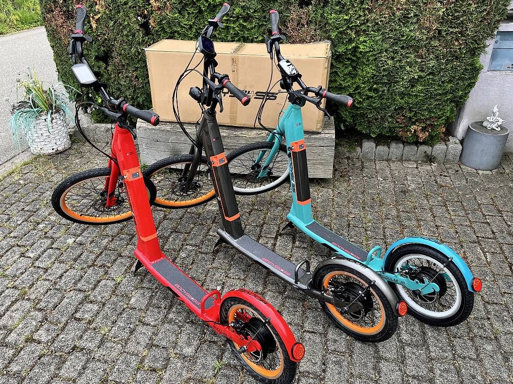 Scooter: Elektro Trotti Neu - Scooter eScooter Electro Roller – Usato da Bremgarten AG venduto da david12345 1
