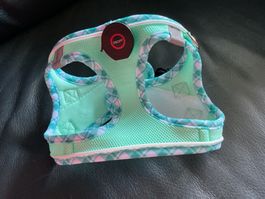 HARNAIS LUMINEUX pour chien - NEUF
