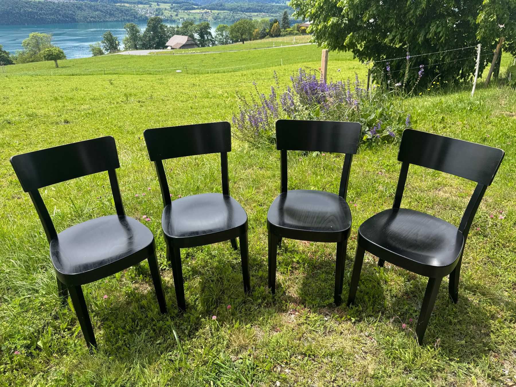 Horgen Glarus Stühle: Horgenglarus Beizenstühle (4 Stück) – Gebraucht aus Aeschlen ob Gunten von keepthebeat