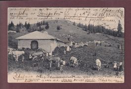 Chalet et Sommet de la DENT DE VAULION - Vaches - 1906