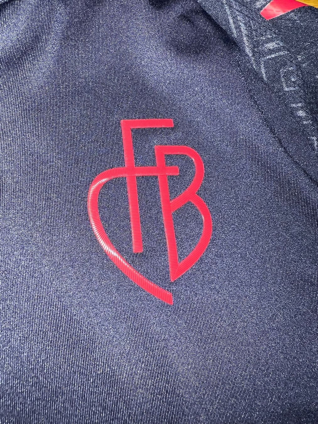 FC Basel Leibchen & Hosen: FC Basel Trikot - Grösse L - Macron - FREI 20 – Gebraucht aus Reinach BL von  2