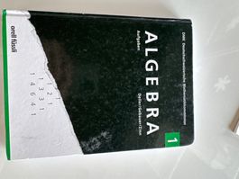 Algebra 1 Aufgabenbuch DMK, Deller/Gebauer/Zinn, Top!