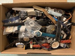 Lot de montres (1)