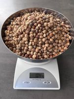 1 Kg Kirschkerne
