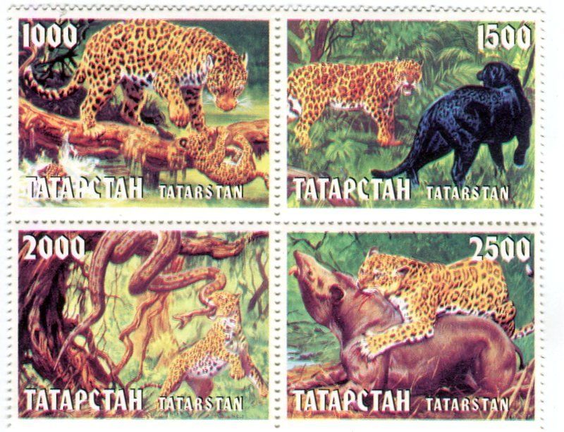 Alle Briefmarken: Briefmarken "Leopard". Dagestan – Neu und originalverpackt aus Basel von Butsch5