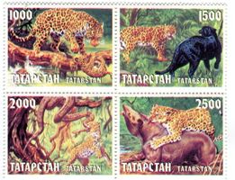 Briefmarken "Leopard". Dagestan